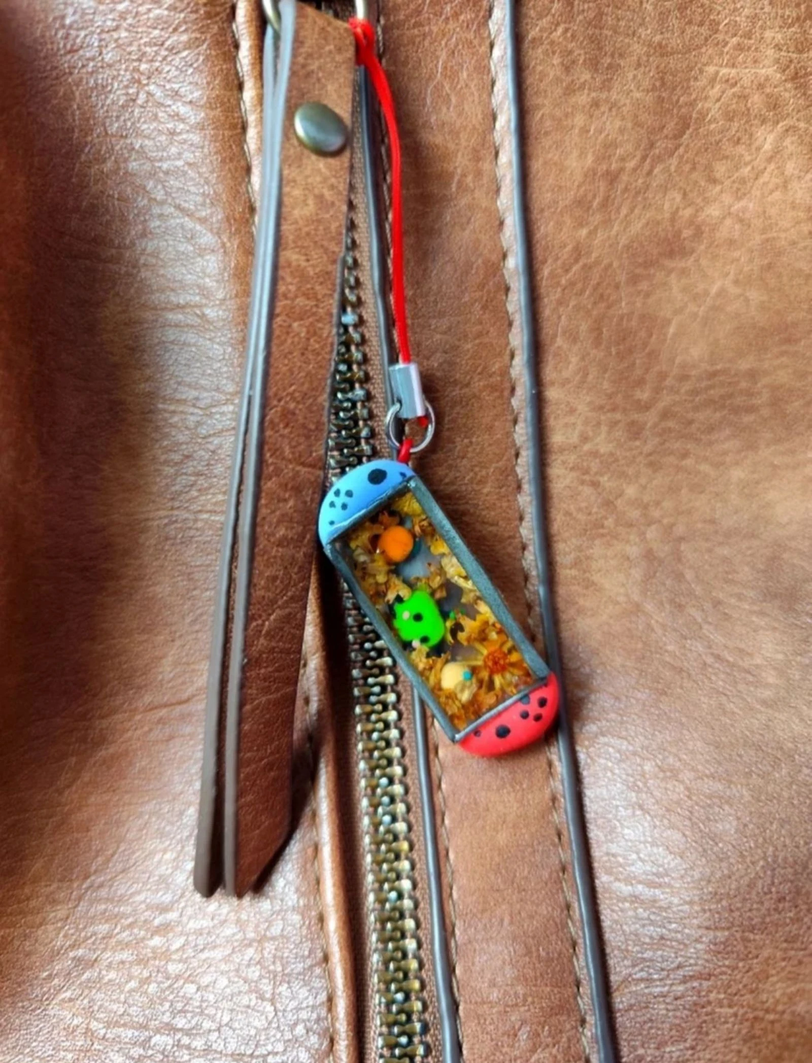 Stardew Valley Switch Charm